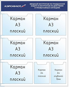 Вводный инструктаж по гражданской защите и инструктаж по действиям в чрезвычайных ситуациях